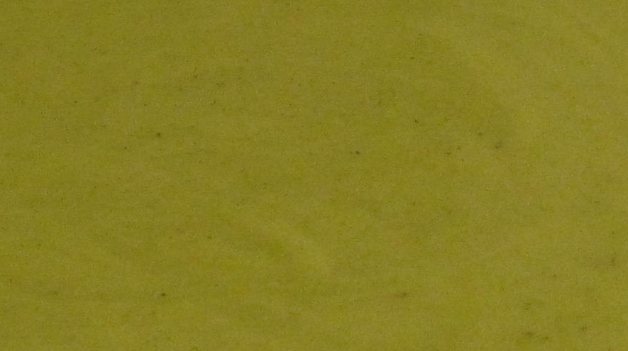 Zucchini Soup Opener